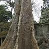 DSCF0461