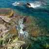 NerviStrand03