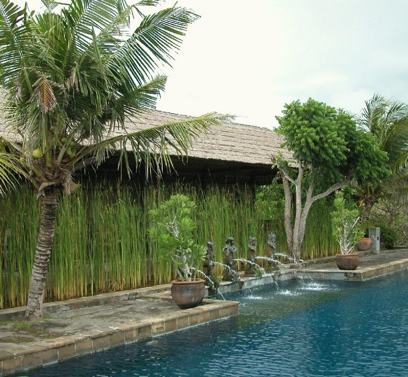 Swimmingpool04
