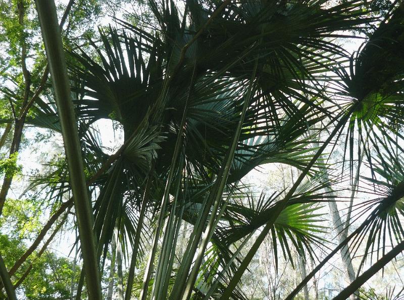 P1010250