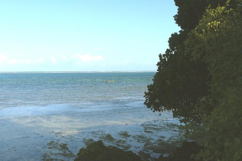 Coral08