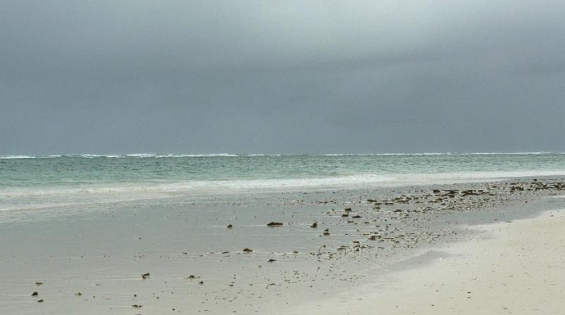Diani08