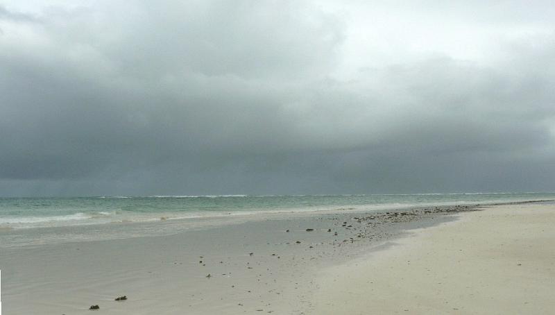 Diani09