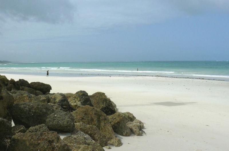 Diani17