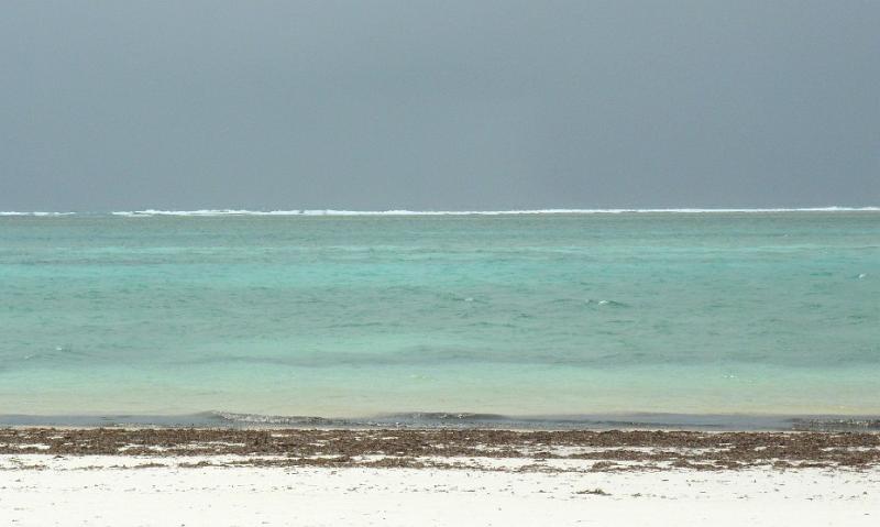 Diani18