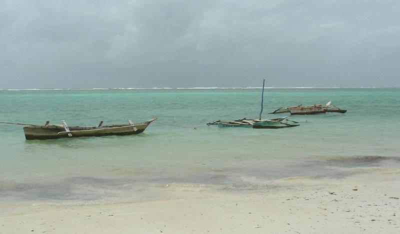 Diani19
