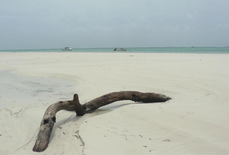 Diani22