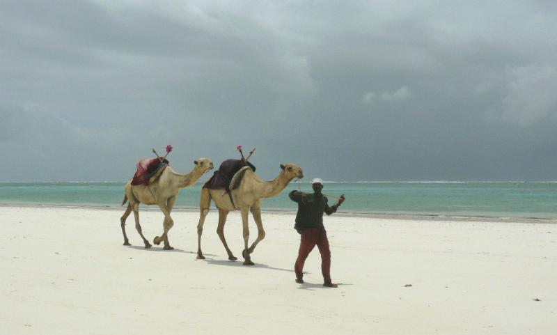 Diani32