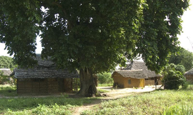 MtwapaP1000514
