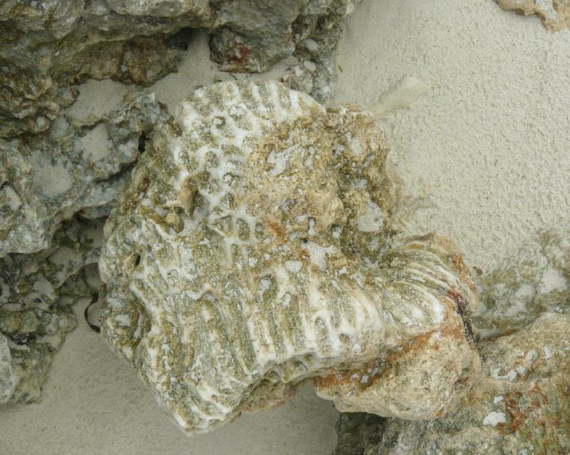 P1000443