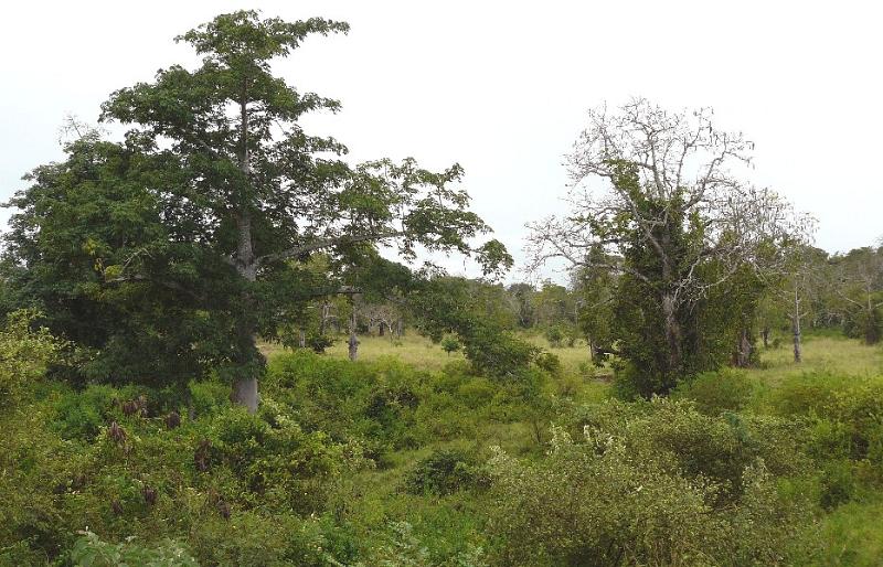 P1000467