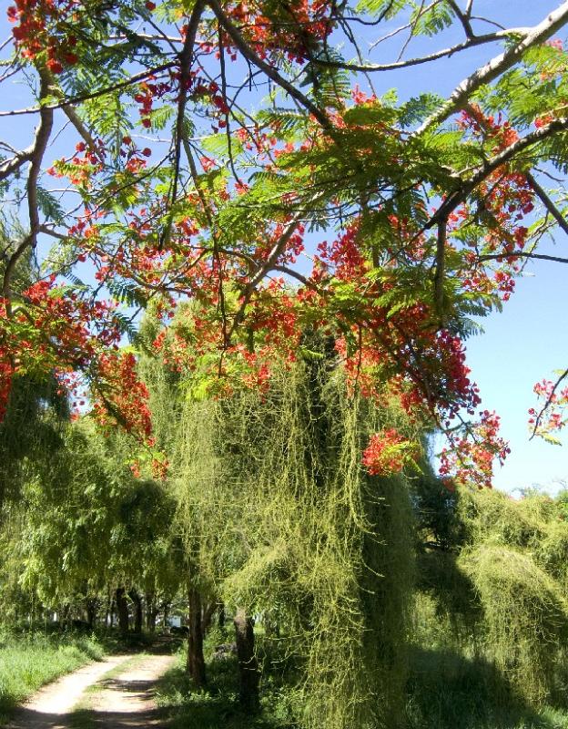 P1000475