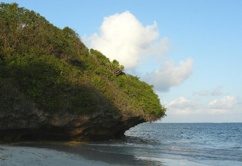 P1020421