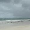 Diani02