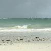 Diani05