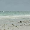 Diani07