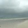 Diani09