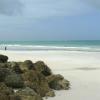 Diani17