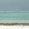 Diani18
