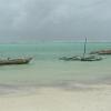Diani19