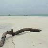 Diani22