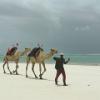 Diani32