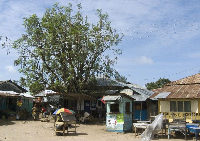 P1000503