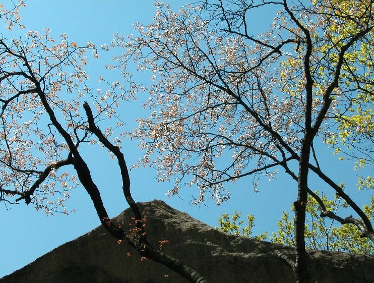 DobongSan13