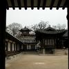Changgyeonggung09