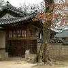 Changgyeonggung13