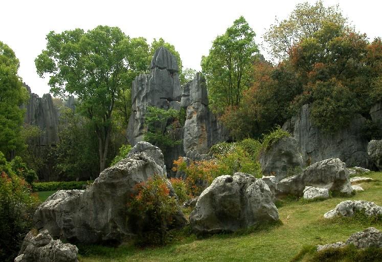 Stoneforest02