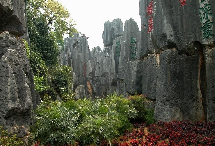 Stoneforest03