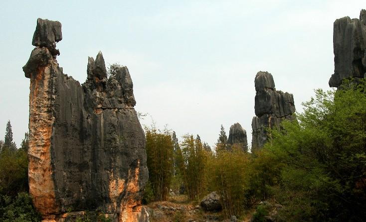 Stoneforest05
