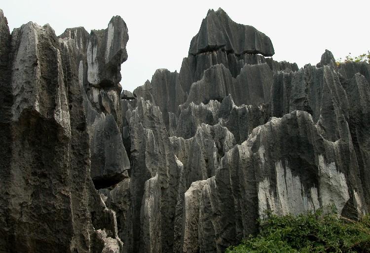 Stoneforest10