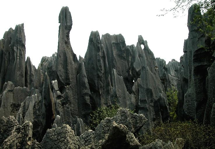 Stoneforest12