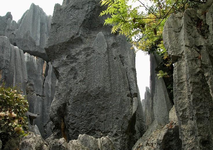 Stoneforest13