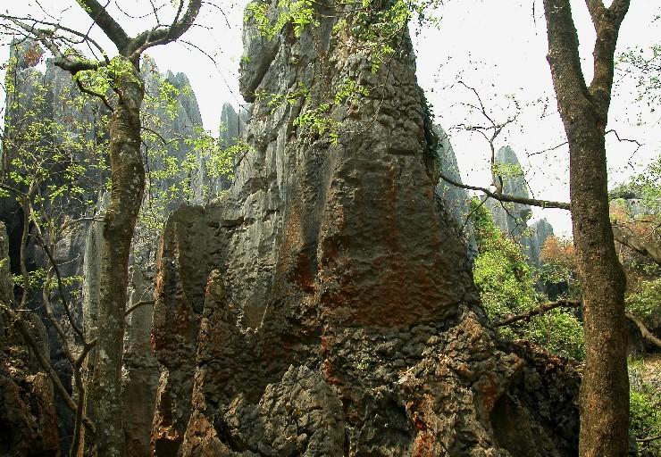 Stoneforest15