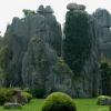 Stoneforest01
