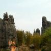 Stoneforest05