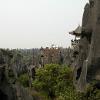 Stoneforest06