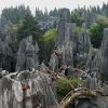Stoneforest07