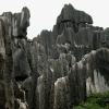 Stoneforest10