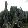 Stoneforest12