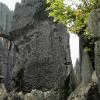 Stoneforest13