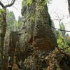 Stoneforest15