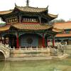 YuanTong03