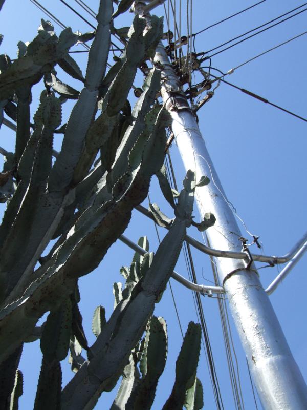mast1170