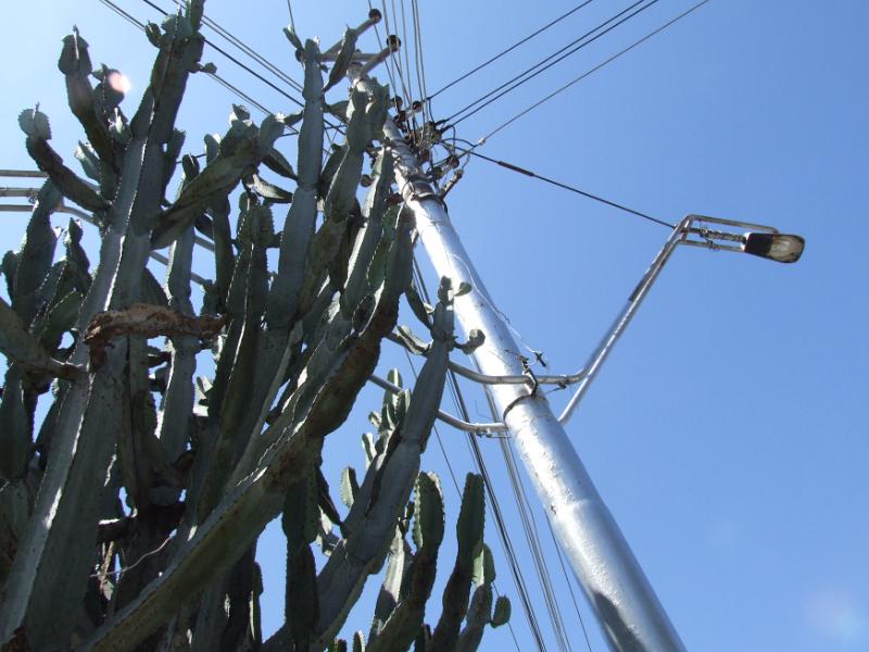 mast1171
