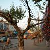 Kunming08c