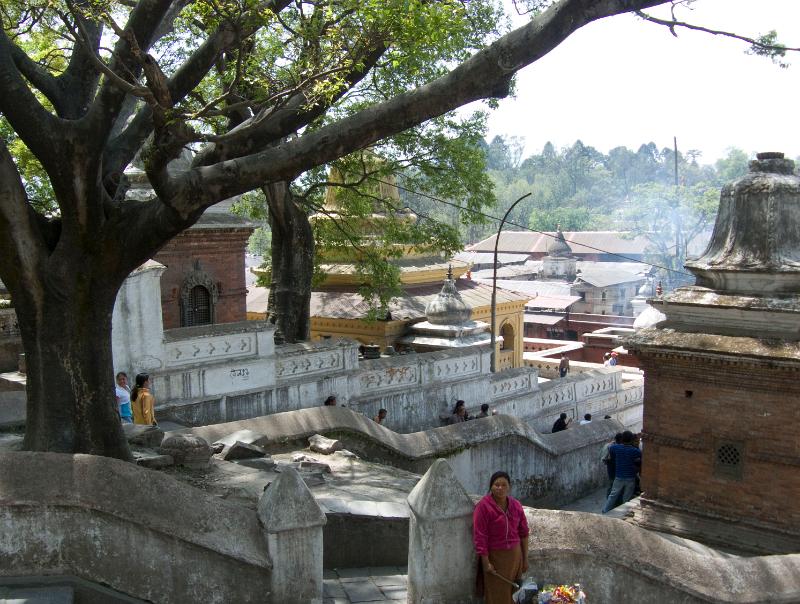 P1000441
